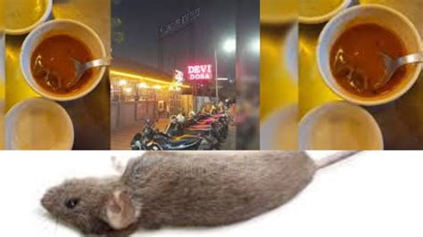 Dead Rat Found In Sambar At Popular Ahmedabad Restaurant, .